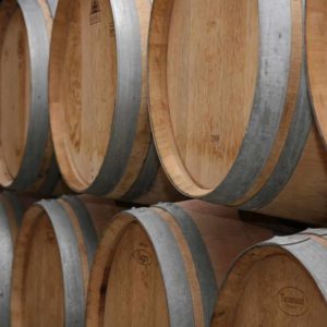 estudiar máster en elaboración de vinos y licores