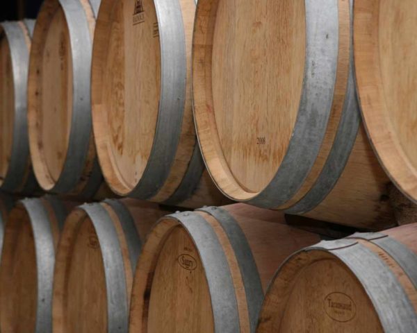 estudiar máster en elaboración de vinos y licores